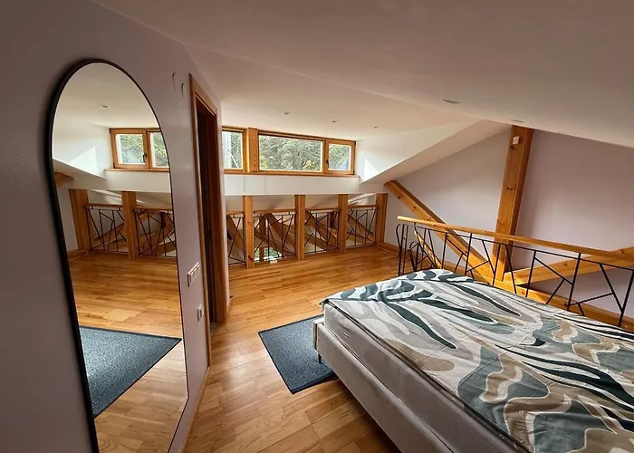 Pine Forest * Паланга