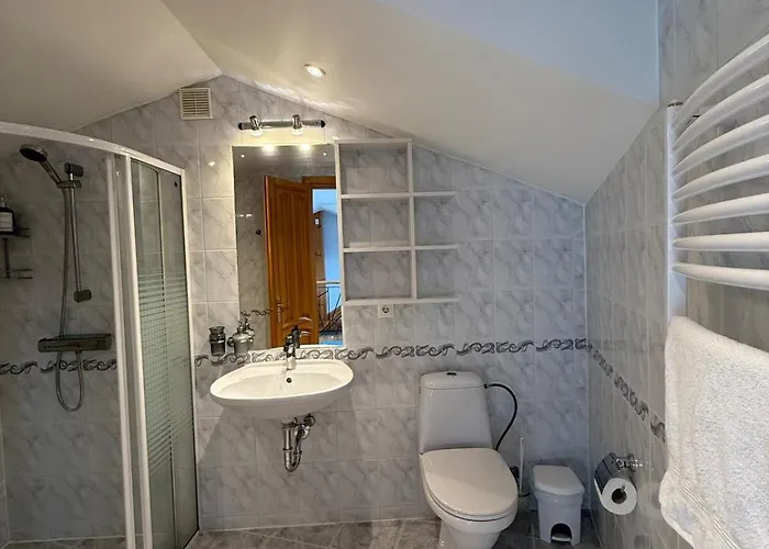 Pine Forest Паланга