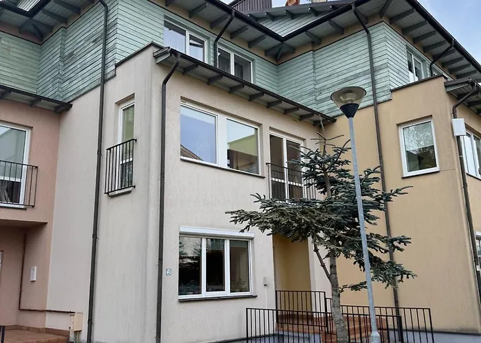 Pine Forest * Паланга